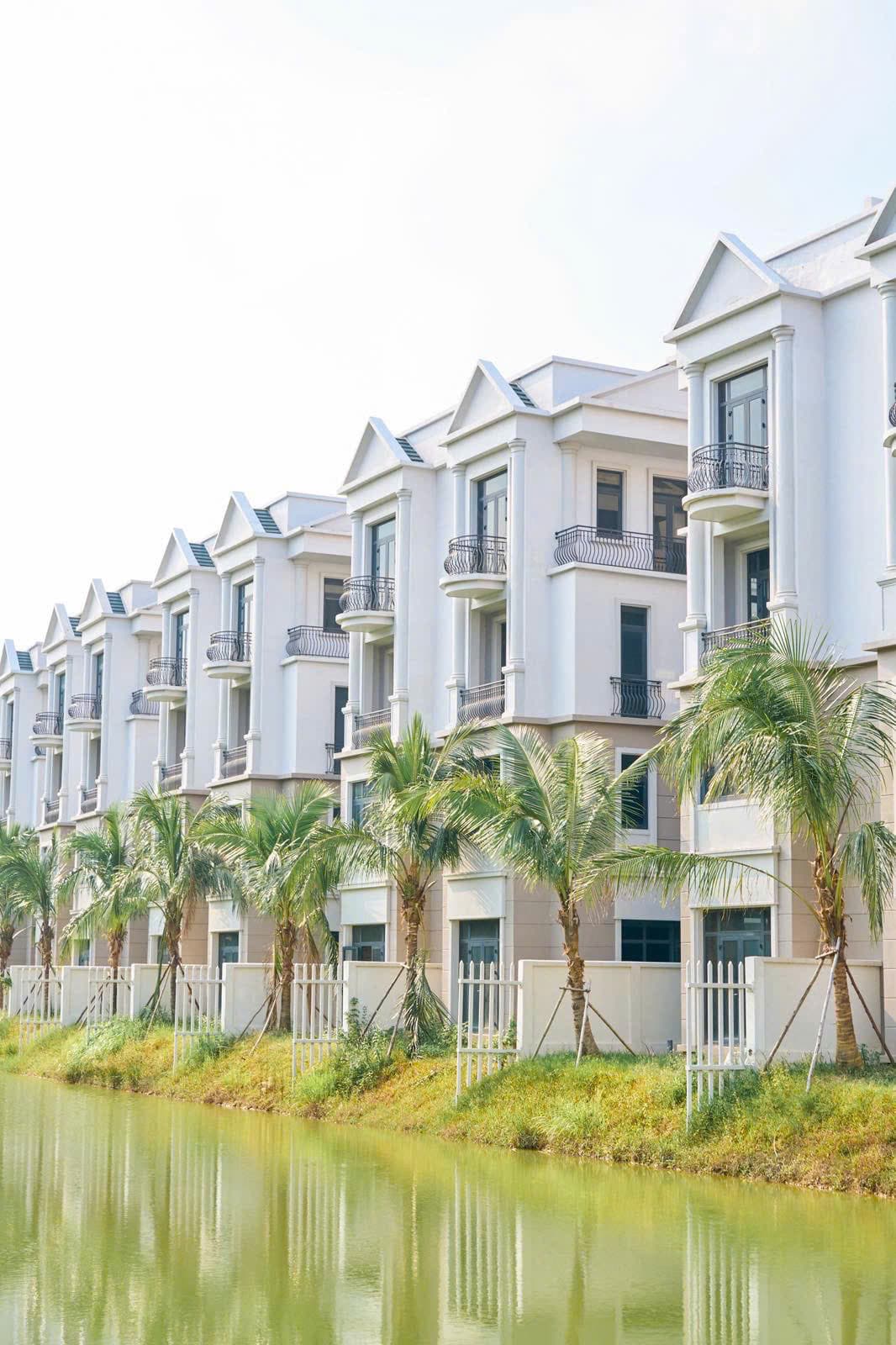 Biệt thự ven kênh nước với hàng cọ nhiệt đới