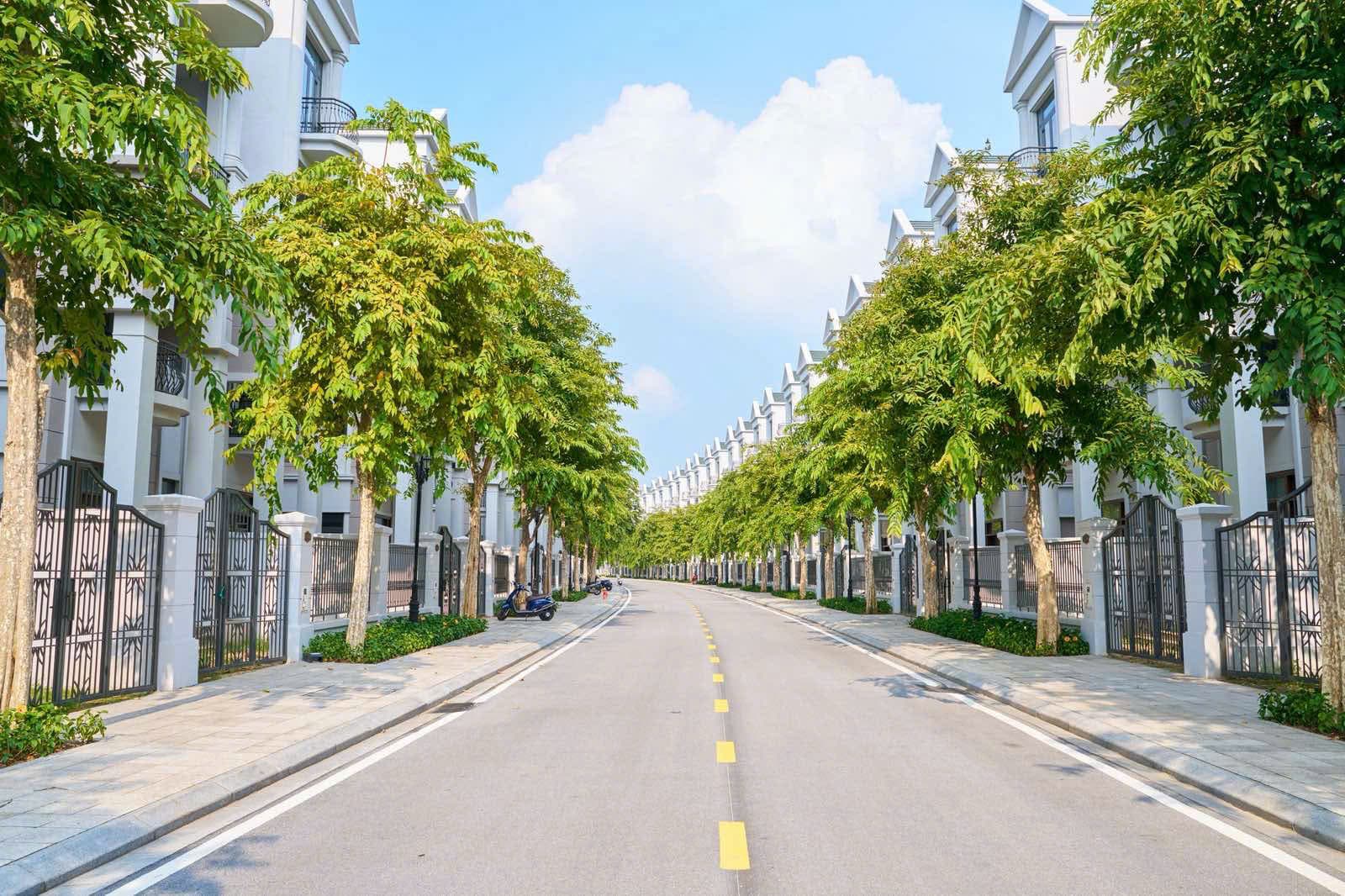 Tuyến đường nội khu biệt thự Đảo Ngọc rợp bóng cây xanh